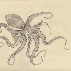 Gyotaku print of California two-spot octopus in black sumi ink on tan-gold paper background, giclée reproduction on fine art paper
