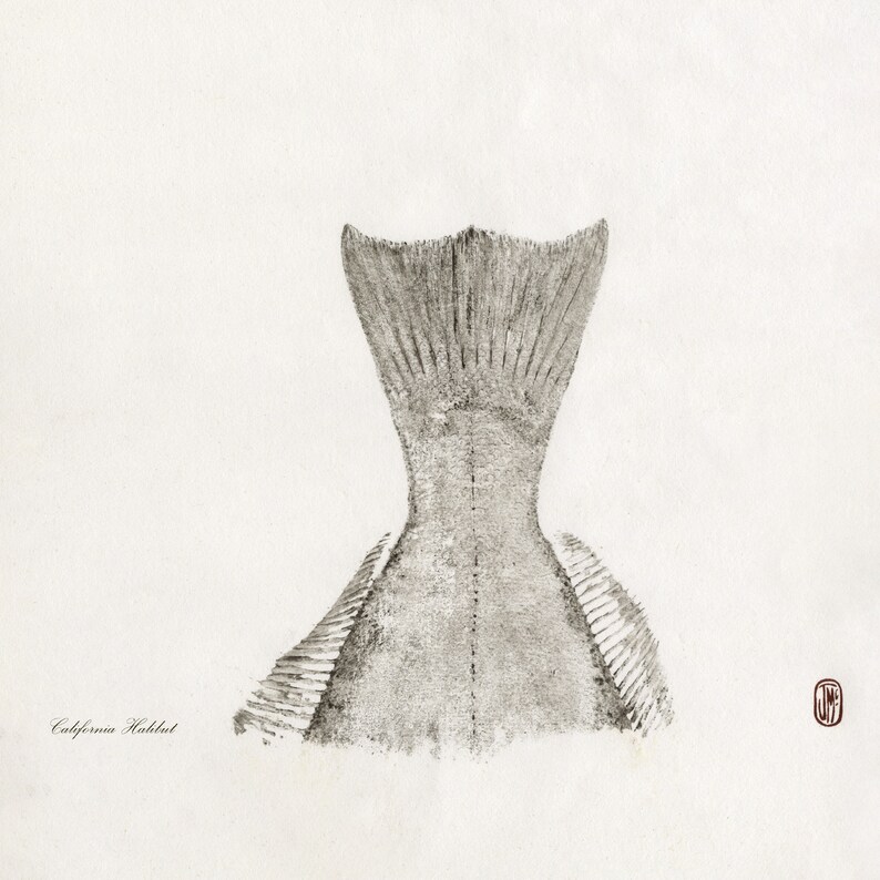 Halibut Ink Gyotaku Fish Print of California Halibut Tail in Black Sumi Ink on ...