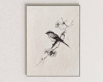 Minimalist Bird Wall Art Printable Delicate Ink Bird Sketch Botanical Line Drawing  Vintage Nature Art Print Cottagecore Decor