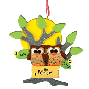 Owl Tree Couple - Personalized Ornaments - Family Ornaments - Family of 2 - free shipping eligible - 1st Christmas - birdwatching - barn