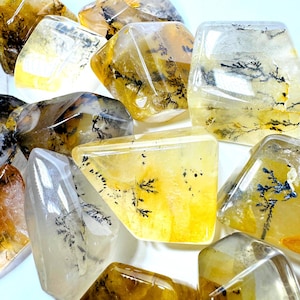 May include: A collection of polished, translucent yellow and clear stones featuring intricate black dendritic fern-like inclusions. Each stone has a smooth, multifaceted surface with varying geometric shapes and warm golden hues.