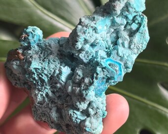 Malachite Chrysocolla  Raw Mineral Crystal Cluster ~ Collector Minerals ~ Congo MC1