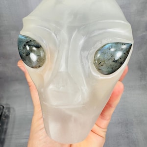 May include: A translucent alien head sculpture with labradorite gemstone eyes. The sculpture is white and has a smooth surface. The eyes are teardrop-shaped and have a mix of blue, grey, and green colours.