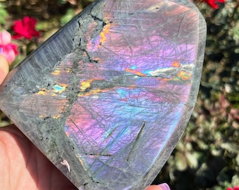 XL 2lb  Freestanding Rainbow Mermaid Flash Labradorite Freeform | Blue Pink Purple Flash Labradorite