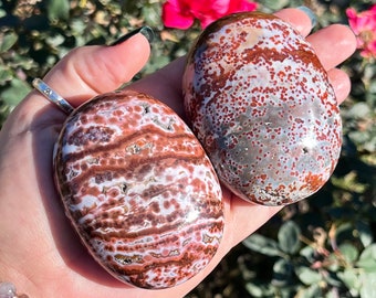 Può includere: Due pietre ovali lucide con motivi unici. Una pietra presenta bande rosse e bianche, l'altra un design maculato rosso e grigio. Le pietre sono tenute in una mano, con uno sfondo sfocato di fiori e vegetazione.
