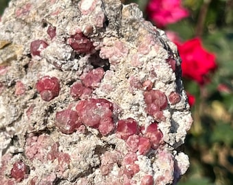 Rare Raspberry Garnet var Grossular | Yellow Grossular Garnet Barite Rosalite Raw on Matrix Pink Garnet ~ RG8
