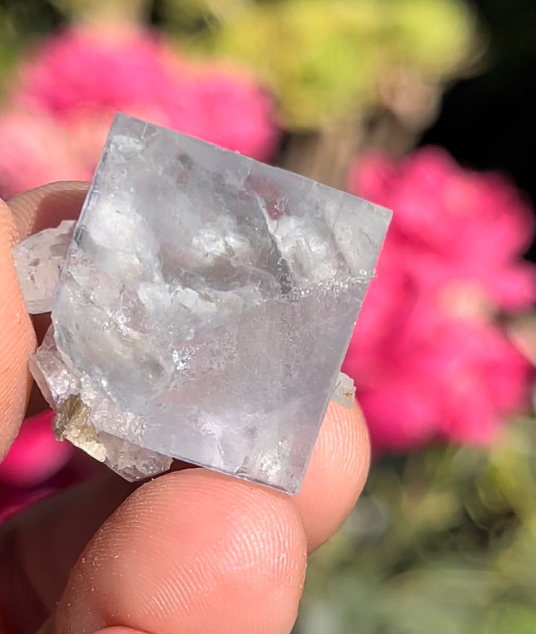 Icy Clear Cubic Light Blue Mini Cube Fluorite Raw Crystal Cluster ...