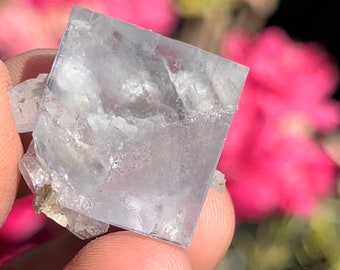 May include: A clear, light blue fluorite crystal with a cubic shape. The crystal has a slightly cloudy appearance and is surrounded by smaller crystals.