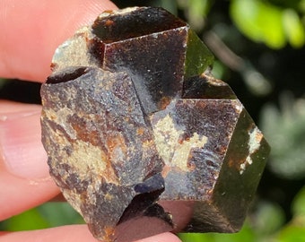 Rough Natural Andradite Red Brown Raw Garnet Thumbnail Raw Minerals ~ Afghanistan SetB