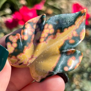 Old Stock Orbicular Ocean Jasper Leaf |  Ocean Jasper Leaves | Orbicular Ocean Jasper Leaf | Crystal Leaf | Crystal Leaves ST5
