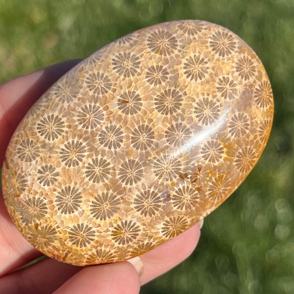 Coral Jasper Palm Stone | Crystal Palm Stones