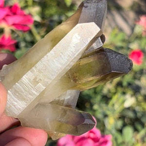 GENUINE Citrine High Quality Raw Citrine Cluster Smoky Quartz Cluster Crystal Point Cluster  ~ BIG Phantoms! ~ CT108