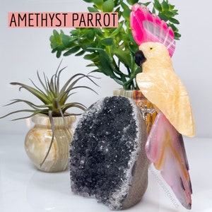 Amethyst Geode Crystal Parrot | Crystal Parrot Amethyst | Parrots | crystal decor