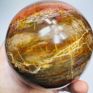 May include: A polished spherical stone featuring a complex pattern of earthy tones including deep red, golden yellow, and dark brown. The surface displays natural mineral veining and translucent layers with a smooth, glossy finish throughout.