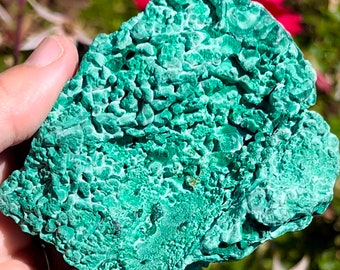 以下が含まれることがあります： 表面がざらざらしていて、質感のある大きな緑色の孔雀石の結晶。結晶は自然で有機的な形をしており、この鉱物の美しい例です。