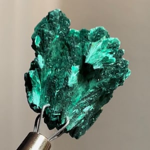 Fluweelachtig vezelig Malachiet Sprankelend rauw Malachiet Natuurlijke rauwe mineralen ~ Natuurlijke rauwe minerale exemplaren MC95