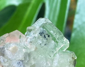 超透明フローライト マトリックス 原石 鉱物 サムネイル標本 22g 4 x 3