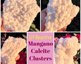 Pink Mangano Calcite Mineral Specimen  ~ Manganoan Raw Calcite Specimen ~ Fine Minerals