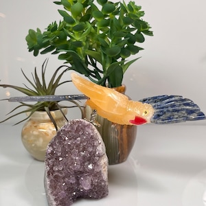 Amethyst Geode Kristall Papagei | Kristall Papagei Amethyst | Papageien | Kristall Dekor