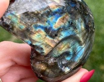 Labradoriet schelpkristal | Snijwerk van labradoriet schelp snijwerk van labradoriet | Kristallen schelp