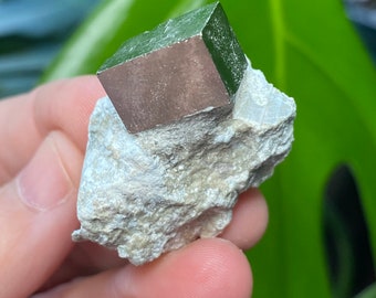 Spanish Cubic Pyrite on Matrix from Navajun Spain LotA