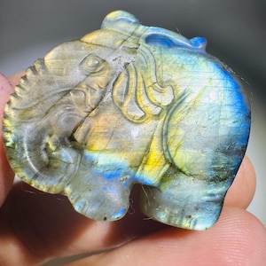 May include: A polished labradorite gemstone carved into the shape of an elephant. The stone displays iridescent flashes of blue and yellow across its surface, with detailed engravings defining the elephant's ear, trunk, and leg structures.