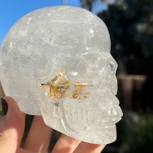 XL Golden Healer Skull | Yellow Fire Quartz Skull | Crystal Skull | Golden Healer Human Skull Carving