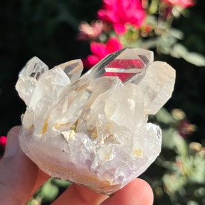 Rzadki Kryształ ~ Samadhi Himalayan Quartz Cluster Surowy Kryształowy Klaster