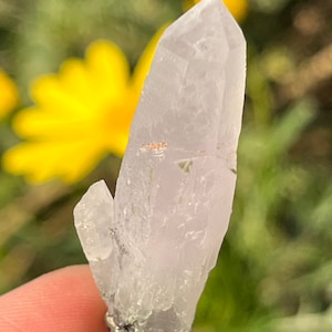 Rare Icy Phantom Amethyst with Green Chlorite Quartz Cluster Raw Mineral Specimen ~ Collectors Minerals ~ Djurkovo mine, Bulgaria