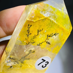 May include: A translucent yellow crystal point featuring intricate black dendritic inclusions that resemble branching ferns. A small white circular sticker with the black number 73 is adhered to the lower section of the faceted stone surface.