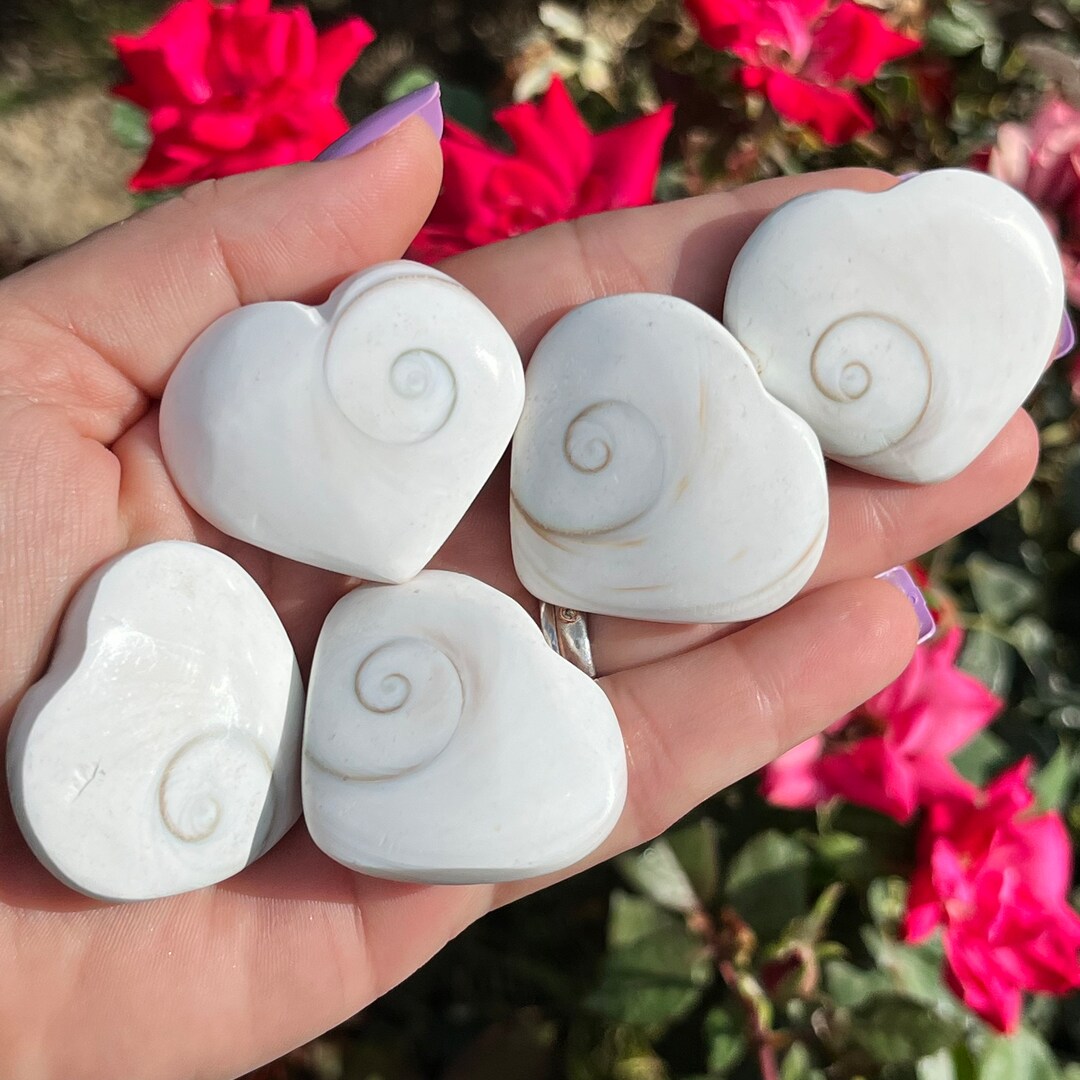 Shiva Eye Shell Heart Crystal Shiva Shell Heart Crystal - Etsy
