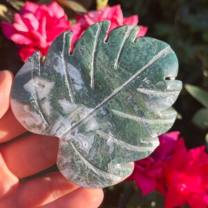 Druzy Crystal Monstera Leaf Moss Agate Leaf Leaves  ~ Crystal Leaves ~ Natural Carved Stone Crystal Leaf