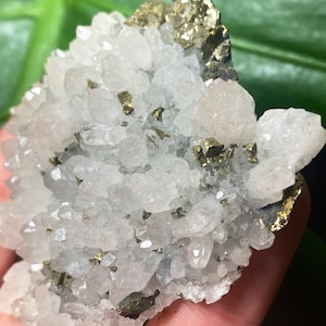 Cluster exclusivo de cristal de pirita de quartzo com amostra de crisocola 6x6cm, 42g de minerais brutos