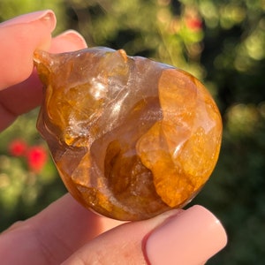 Op de afbeelding: Een gepolijste, amberkleurige edelsteen gebeeldhouwd in de vorm van een beer. Het berenbeeldje heeft een glad, glanzend oppervlak met natuurlijke variaties in kleur en textuur. De edelsteen wordt in de hand van een persoon gehouden, met een vage groene achtergrond.