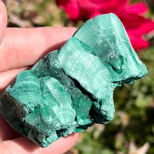 Voir la vidéo! | de malachite veloutée Malachite brute | Spécimen de malachite | MC89 de haute qualité