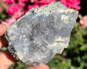 May include: A cluster of light blue fluorite crystals with a gray matrix. The crystals are translucent and have a glassy luster.