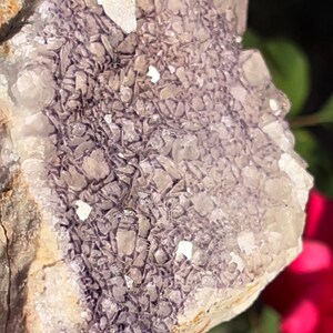 May include: A cluster of purple fluorite crystals embedded in a light brown matrix. The crystals are small and have a rough, irregular shape. The fluorite is a translucent purple color, and the matrix is a light brown color.