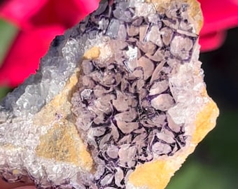 May include: A cluster of purple fluorite crystals with a yellow and white matrix. The crystals are clustered together in a rough, natural formation.