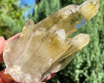 Large High Quality GENUINE Raw Citrine Cluster Twin Points DT Crystal Point Cluster Raw Mineral Specimen  ~ Madagascar