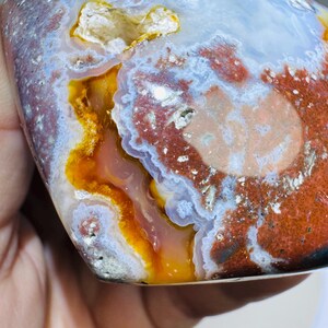May include: A polished agate stone featuring a vibrant mix of deep red, burnt orange, and translucent milky white bands. The surface displays a natural crystalline cavity with jagged edges and smooth, layered mineral formations throughout.