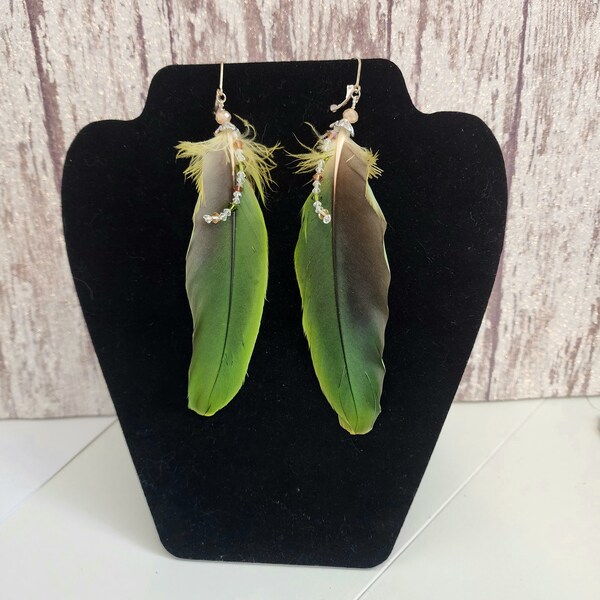 Exotic Macaw Handmade Drop Earrings
