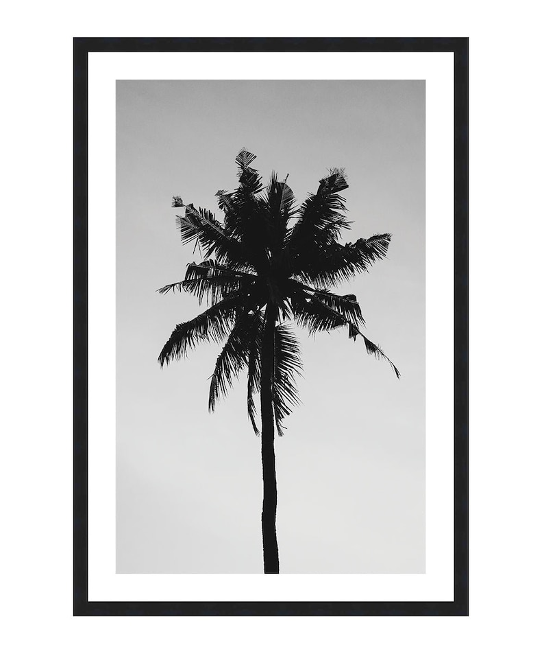 Black and White Palm Tree Poster Palm Tree Wall Art Black Etsy