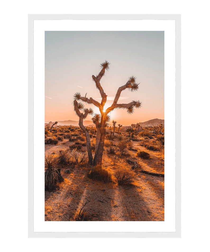 Joshua Tree Cactus Poster Desert Plant Wall Art Cactus Tree Etsy