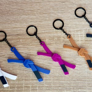 Op de afbeelding: Vijf sleutelhangers in de vorm van vechtsportbanden met een knoopontwerp, bevestigd aan een zwarte metalen ring. De set bevat witte, blauwe, paarse, beige en zwarte banden, elk met een klein gekleurd uiteinde aan één kant.