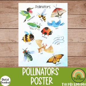 Pollinators Poster, Preschool Curriculum, Preschool Printable, Educational Posters, Preschool Learning, Learning about Plants, Montessori