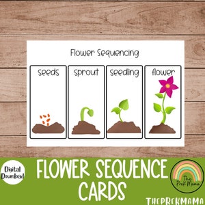 Tarjetas de secuenciación de flores, plan de estudios preescolar, imprimible en preescolar, carteles educativos, aprendizaje preescolar, tarjetas de secuenciación preescolar