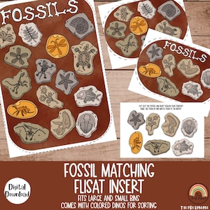 Fossil Matching Flisat Inserts, Flisat Table, Flisat Insert Printable, Flisat Insert Preschool, Sensory Table, Sensory Inserts, Flisat