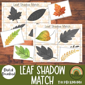 Leaf Shadow Match, Fall Activity for Kids, Preschool printable, Montessori Printable, Toddler Activity, Toddler Printable, Busy book page