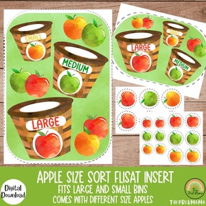 Apple Size Sorteer Flisat Insert, Fall Flisat Insert, Flisat Insert Printable, Flisat Insert Preschool en Peuter, Sensorische Tafel