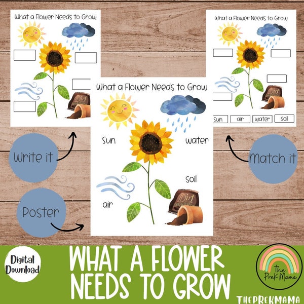 What a Flower Needs to Grow, Preschool Curriculum, Preschool Printable, Educational Posters, Preschool Learning, Learning about Plants